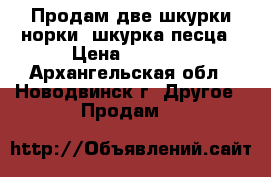 Продам две шкурки норки, шкурка песца › Цена ­ 9 500 - Архангельская обл., Новодвинск г. Другое » Продам   